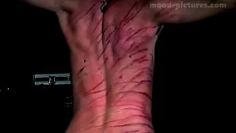 Bloody Caning - Bdsm blood whipping - 68558 porn videos - HD Porn Videos, Sex Movies, Porn  Tube